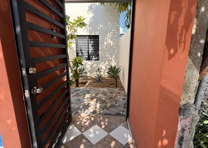Casa Viva San Jose del Cabo